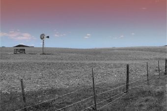 Landscape Picture With a Low-end Mobile Phone