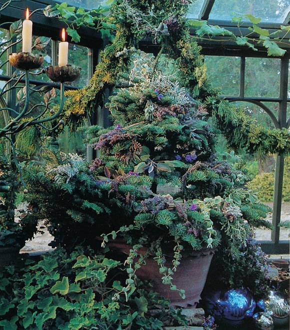 Green Christmas. Here lavender has been tied into bunches and placed alongside bundles of cinnamon sticks. Other dried flowers and seedheads have been arranged around the branches and the crowning touch is a wreath of herbs attached to the conservatory wall above the tree.